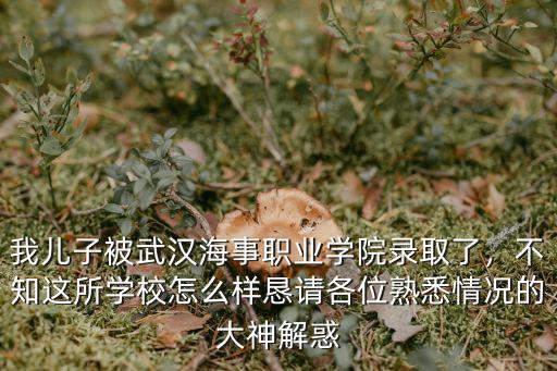 武漢中建職業(yè)學(xué)校怎么樣,武漢城市職業(yè)技術(shù)學(xué)院怎么樣