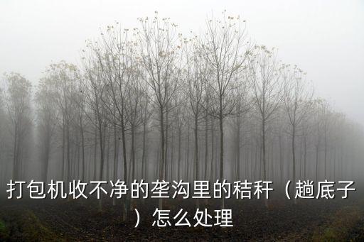打包機收不凈的壟溝里的秸稈（趟底子）怎么處理