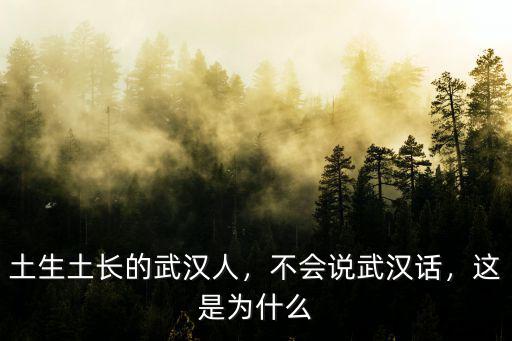土生土長的武漢人，不會說武漢話，這是為什么