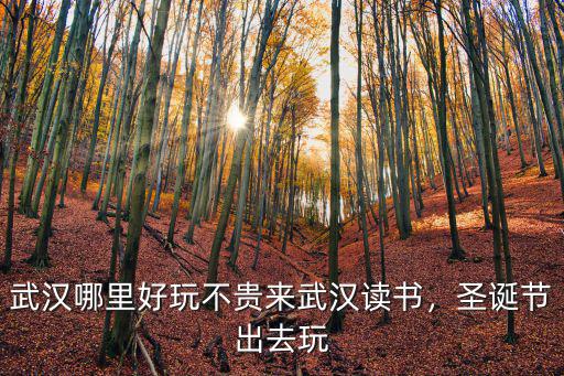 武漢哪里好玩不貴來(lái)武漢讀書，圣誕節(jié)出去玩
