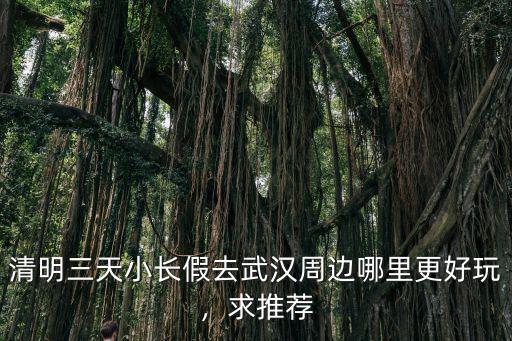 清明三天小長假去武漢周邊哪里更好玩，求推薦