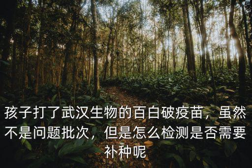 武漢怎么查打過的疫苗是哪里的,怎么查所打疫苗的批次