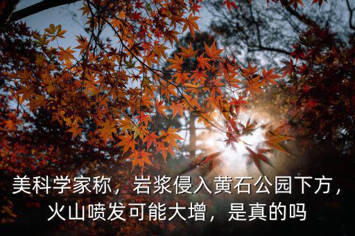 黃石公園火山土豆泥怎么,美國(guó)的黃石公園火山如果爆發(fā)
