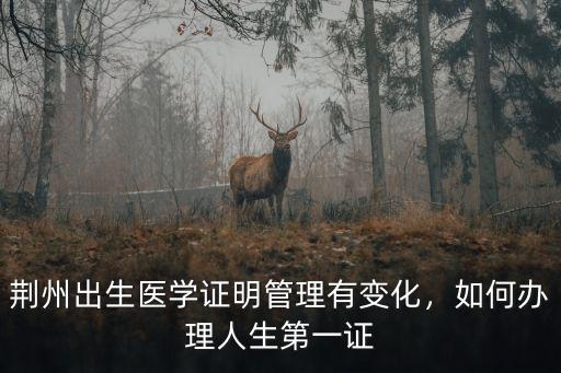 荊州出生醫(yī)學(xué)證明管理有變化，如何辦理人生第一證