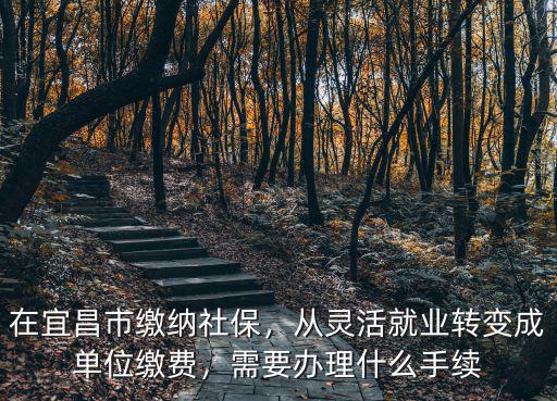 在宜昌市繳納社保，從靈活就業轉變成單位繳費，需要辦理什么手續