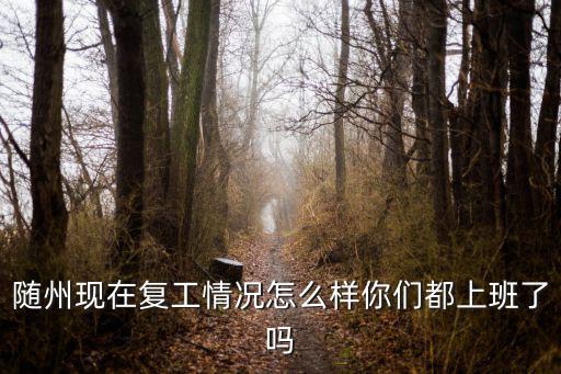 隨州現在復工情況怎么樣你們都上班了嗎