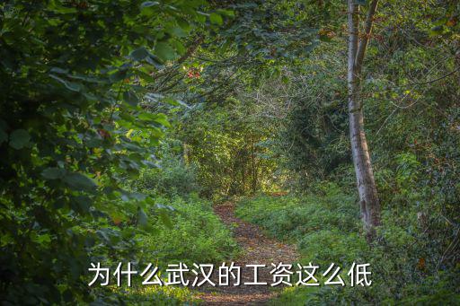 武漢國(guó)營(yíng)企業(yè)工資怎么這么低,為什么武漢工資這么低