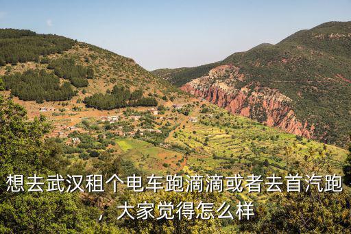 武漢比亞迪E5跑滴滴怎么樣,比亞迪E5能注冊滴滴