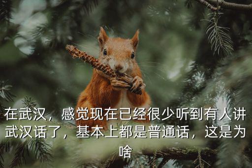 在武漢，感覺現在已經很少聽到有人講武漢話了，基本上都是普通話，這是為啥