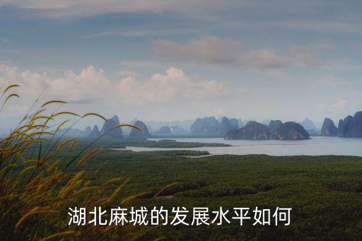 湖北麻城的發展水平如何