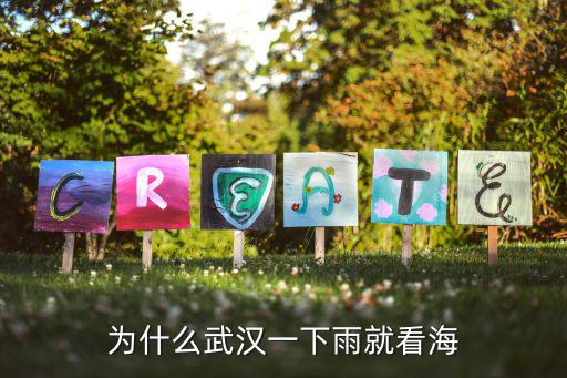 為什么武漢一下雨就看海