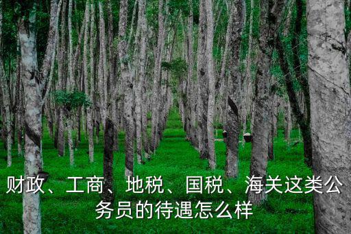 財政、工商、地稅、國稅、海關這類公務員的待遇怎么樣