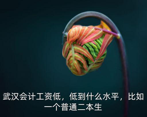 武漢會計工資低，低到什么水平，比如一個普通二本生