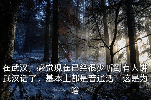 在武漢，感覺現在已經很少聽到有人講武漢話了，基本上都是普通話，這是為啥