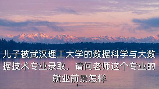 武漢理工大學海洋工程專業怎么樣,分到海洋工程專業