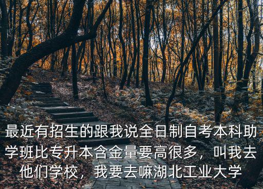 專升本怎么報考湖北工業大學,湖北工業大學