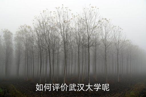 如何評價武漢大學呢