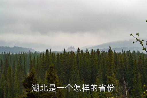 湖北的名勝古跡怎么畫,湖北是一個怎樣的省份