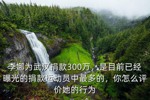 李娜為武漢捐款300萬，是目前已經曝光的捐款運動員中最多的，你怎么評價她的行為