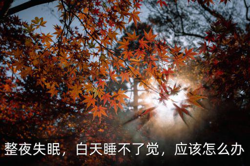 整夜失眠，白天睡不了覺，應該怎么辦