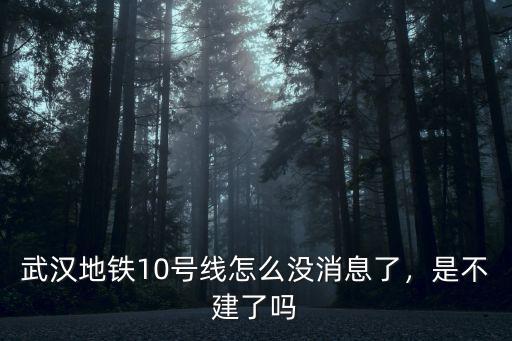武漢地鐵10號線怎么沒消息了，是不建了嗎