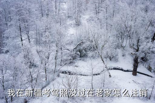 在新疆考的駕照怎么遷移到湖北巴東,在新疆考的C1
