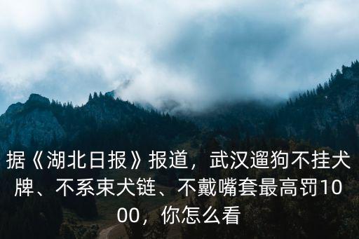 武漢犬牌怎么辦理,武漢怎么辦理狗證