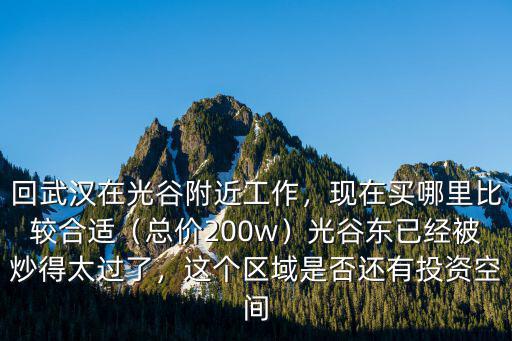 回武漢在光谷附近工作，現在買哪里比較合適（總價200w）光谷東已經被炒得太過了，這個區域是否還有投資空間