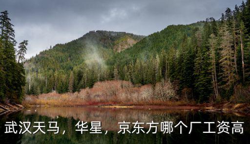 武漢京東方拿快遞怎么拿,武漢京東方的待遇怎么樣