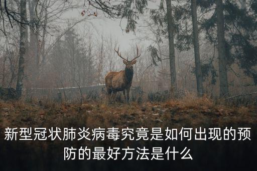 武漢是怎么的新型冠狀病毒的,新型冠狀病毒是怎么產(chǎn)生的