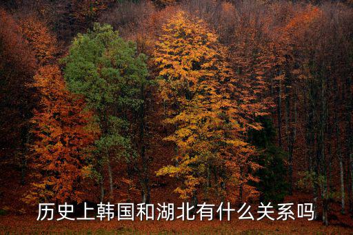 歷史上韓國和湖北有什么關系嗎