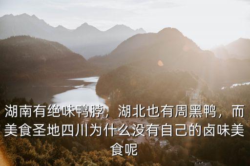 怎么武漢和湖南都有絕味鴨脖,湖南有絕味鴨脖