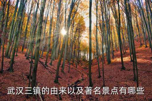 武漢三鎮的由來以及著名景點有哪些