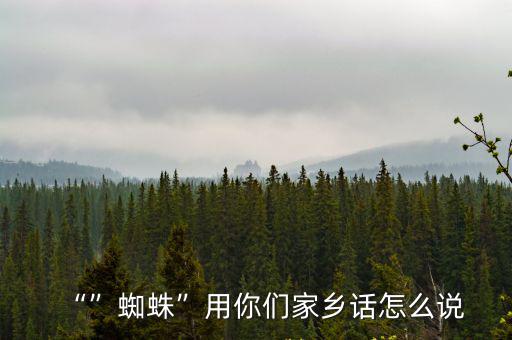 武漢話 蜘蛛怎么說,蜘蛛用你們家鄉話怎么說