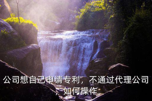荊州怎么辦理專利申請代辦公司,公司想自己申請專利