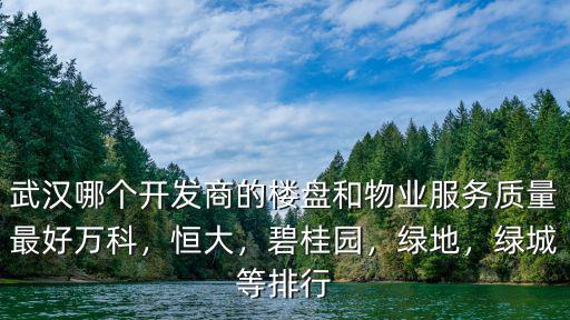 武漢哪個開發商的樓盤和物業服務質量最好萬科，恒大，碧桂園，綠地，綠城等排行