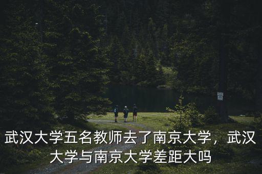武漢大學羅威老師怎么樣,武漢大學在全國怎么樣