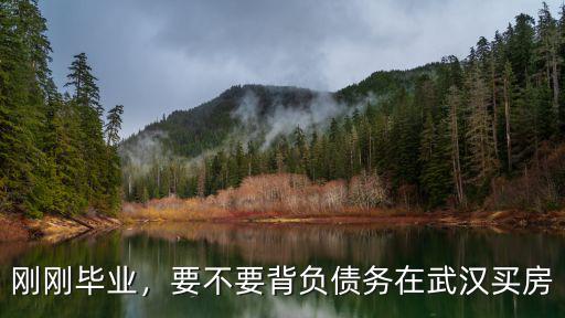 剛剛畢業(yè)，要不要背負(fù)債務(wù)在武漢買房