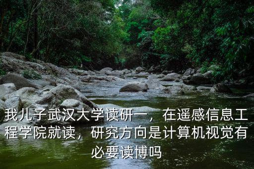 我兒子武漢大學讀研一，在遙感信息工程學院就讀，研究方向是計算機視覺有必要讀博嗎