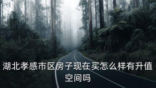 孝感市慈惠怎么樣,孝感市各縣的消費水平怎么樣