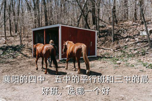 襄陽三中和一中怎么填志愿,襄陽三中和宜城一中哪個好