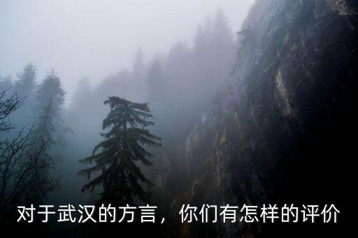 武漢方言豬頭怎么說,對于武漢的方言