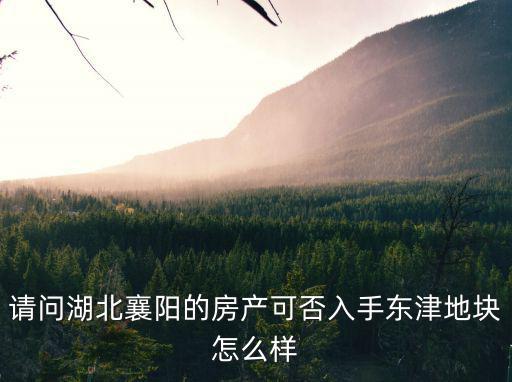 請問湖北襄陽的房產(chǎn)可否入手東津地塊怎么樣