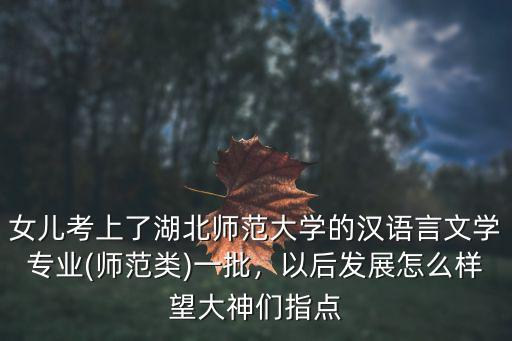 小雨兒老師是湖北師范大學(xué)藝術(shù)系怎么樣,內(nèi)蒙古師范大學(xué)怎么樣