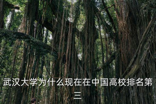 武漢大學為什么現在在中國高校排名第三