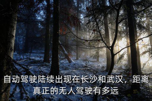 武漢無(wú)人駕駛車怎么樣,無(wú)人駕駛汽車