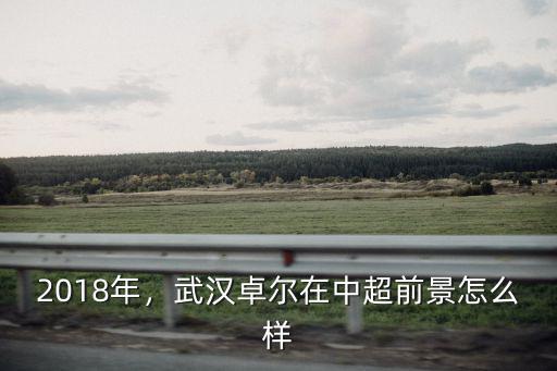湖北卓爾集團怎么樣,武漢卓爾在中超前景怎么樣