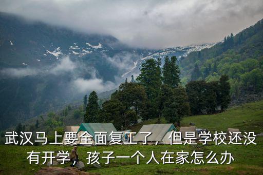 武漢馬上要全面復(fù)工了，但是學(xué)校還沒有開學(xué)，孩子一個(gè)人在家怎么辦