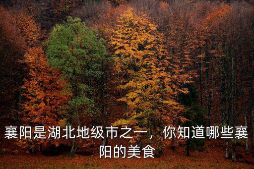 襄陽(yáng)是湖北地級(jí)市之一，你知道哪些襄陽(yáng)的美食