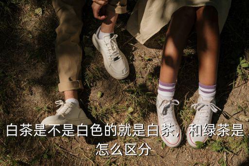 白茶是不是白色的就是白茶，和綠茶是怎么區分